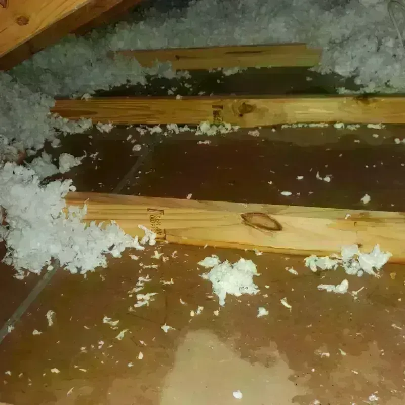 Attic Water Damage in Palmhurst, TX