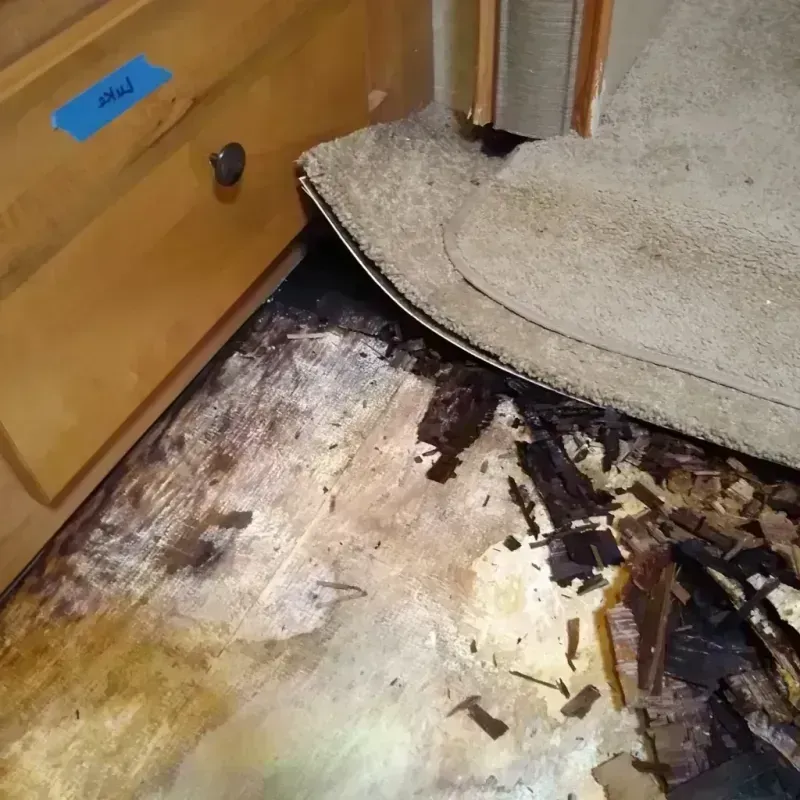 Wood Floor Water Damage in Palmhurst, TX